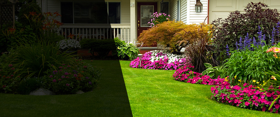 Ingleside Landscapers