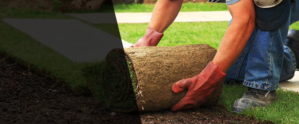 Ingleside Landscapers